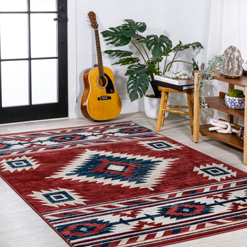 Serape Medallion Southwestern Area Rug